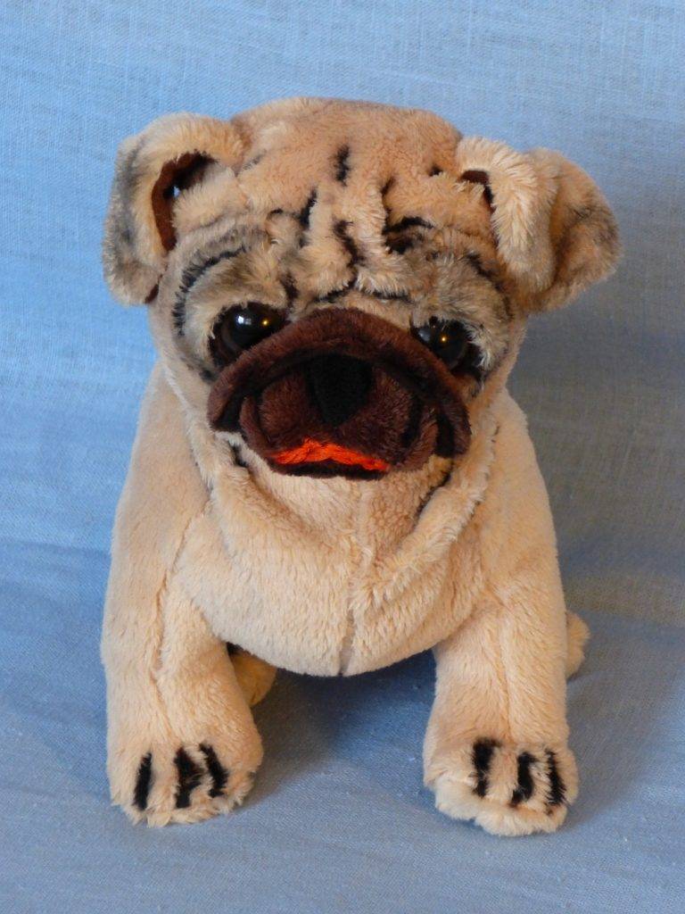 <strong>A-E-I-O-U Raus bist du!</strong>, <strong>A-E-I-O-U Raus bist du!</strong> (c) A. Scholz